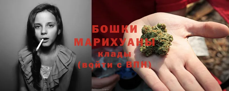 МАРИХУАНА SATIVA & INDICA  Бородино 